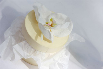 Anke-Hirsch-Fotografie (52)